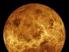 Surface Venus