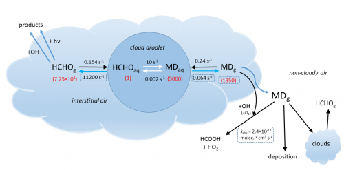 Schematic representation of in-cloud processes