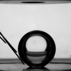 Bubble forming inside Boiling Cell in microgravity