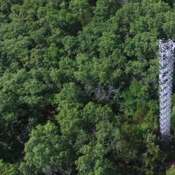 MOFLUX site with 32-m tower overlooking forest in Missouri