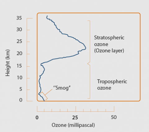 Tropospheric Stratospheric Ozone procent kilometer